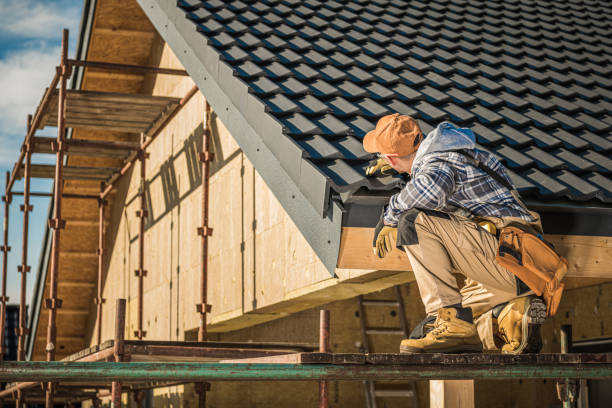 Best Skylight Installation and Repair  in Stonewall, MS